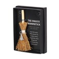 Witch Hat Mini Magik Broomstick