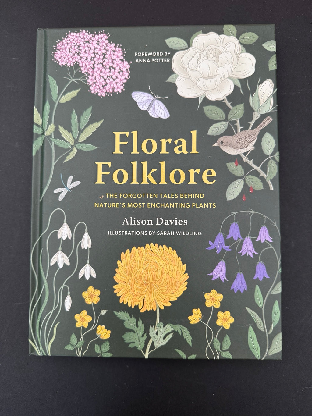 Front cover of Floral Folklore — Alison Davies