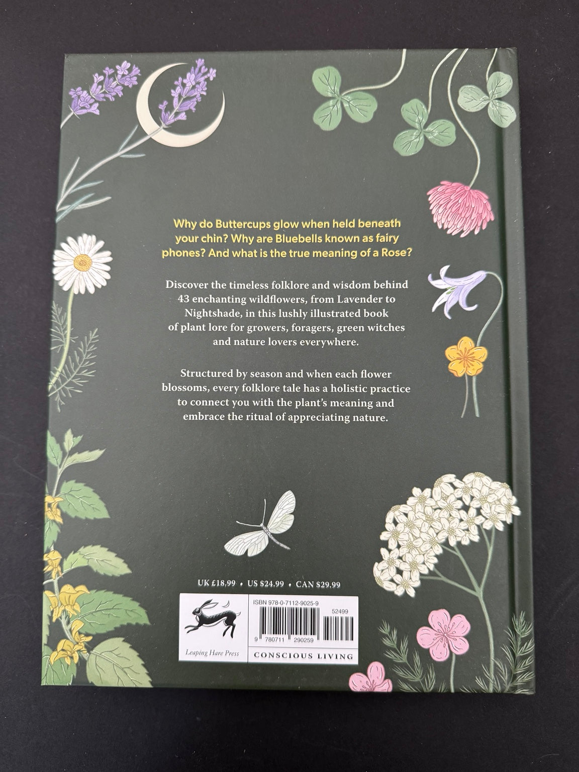 Back cover of Floral Folklore — Alison Davies